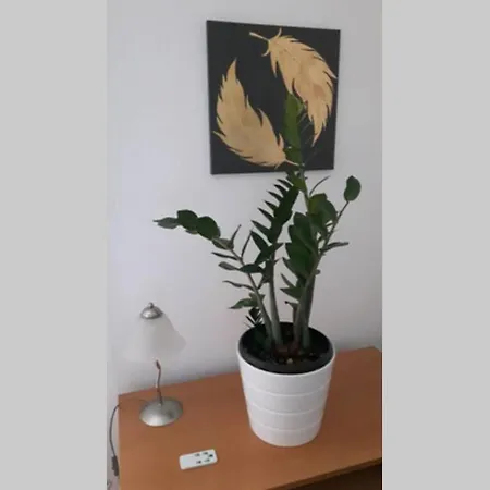 Modern Moebliertes Komfortappartement 아파트